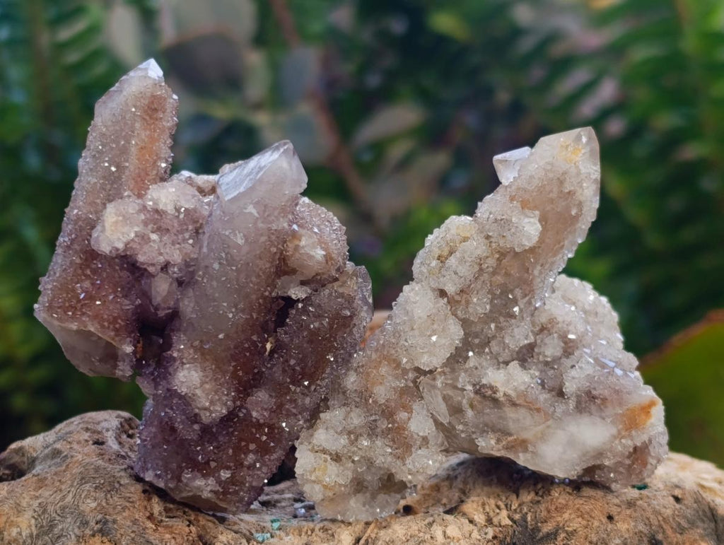Natural Mix of Spirit Quartz Crystals and Clusters x 35 From Boekenhouthoek, South Africa - Toprock Gemstones and Minerals 