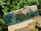 Polished Shattuckite with Chrysocolla and Malachite Slices x 3 From Koakoveld, Namibia - Toprock Gemstones and Minerals 