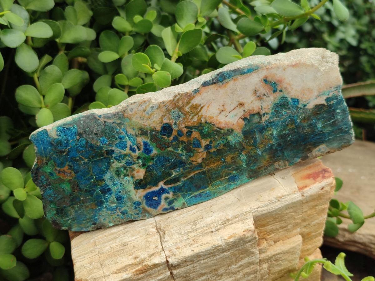 Polished Shattuckite with Chrysocolla and Malachite Slices x 3 From Koakoveld, Namibia - Toprock Gemstones and Minerals 