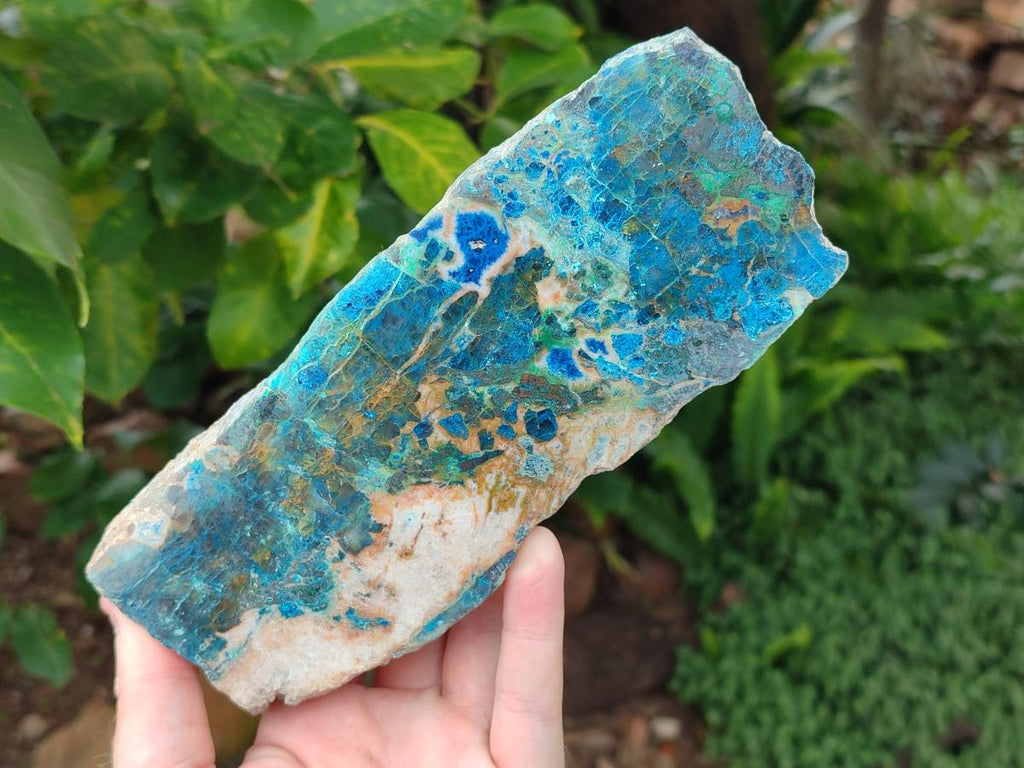 Polished Shattuckite with Chrysocolla and Malachite Slices x 3 From Koakoveld, Namibia - Toprock Gemstones and Minerals 