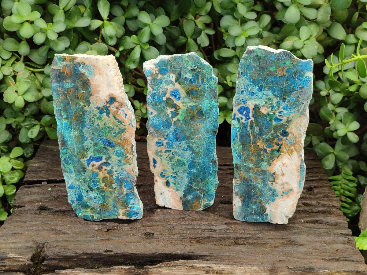 Polished Shattuckite with Chrysocolla and Malachite Slices x 3 From Koakoveld, Namibia - Toprock Gemstones and Minerals 