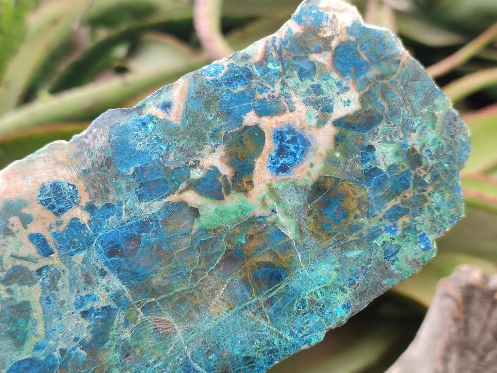 Polished Shattuckite with Chrysocolla and Malachite Slices x 3 From Koakoveld, Namibia - Toprock Gemstones and Minerals 