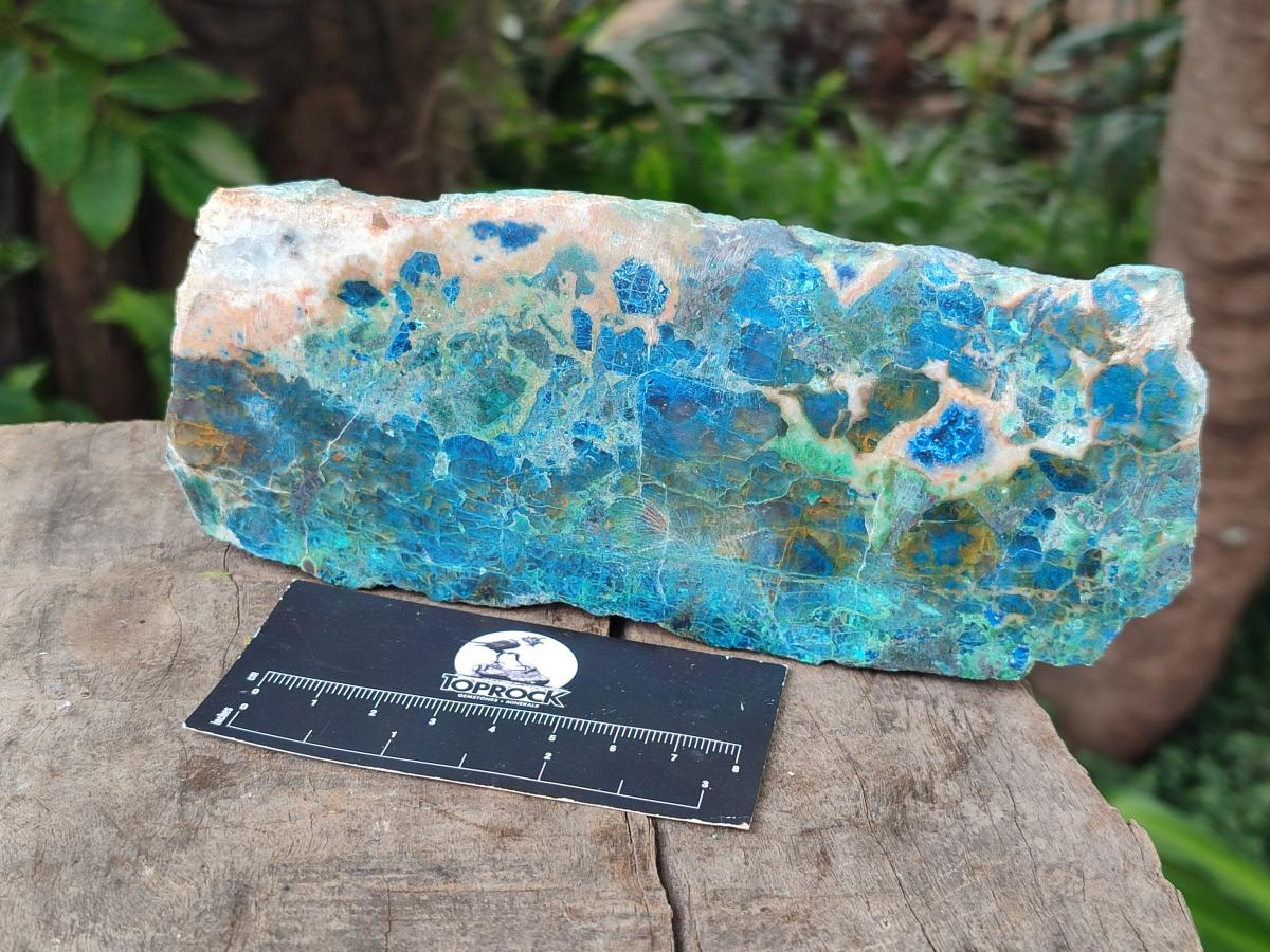 Polished Shattuckite with Chrysocolla and Malachite Slices x 3 From Koakoveld, Namibia - Toprock Gemstones and Minerals 