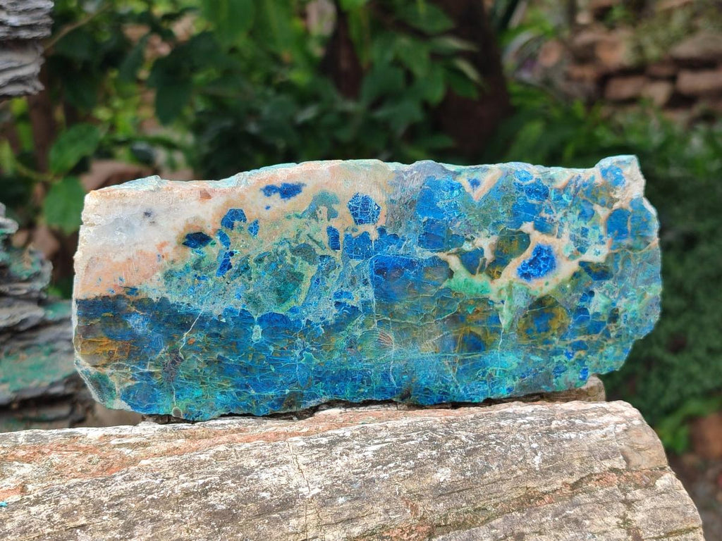 Polished Shattuckite with Chrysocolla and Malachite Slices x 3 From Koakoveld, Namibia - Toprock Gemstones and Minerals 