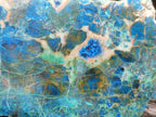 Polished Shattuckite with Chrysocolla and Malachite Slices x 3 From Koakoveld, Namibia - Toprock Gemstones and Minerals 
