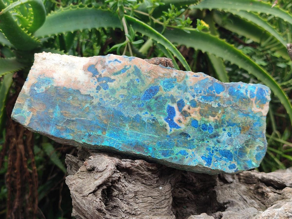Polished Shattuckite with Chrysocolla and Malachite Slices x 3 From Koakoveld, Namibia - Toprock Gemstones and Minerals 