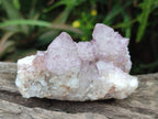 Natural Cactus Flower Spirit Amethyst Clusters x 12 From South Africa - Toprock Gemstones and Minerals 