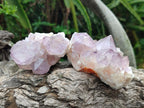 Natural Cactus Flower Spirit Amethyst Clusters x 12 From South Africa - Toprock Gemstones and Minerals 