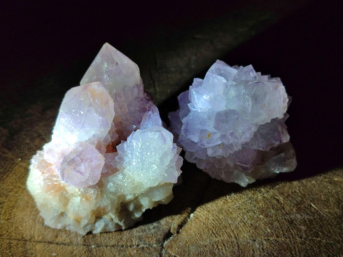 Natural Cactus Flower Spirit Amethyst Clusters x 12 From South Africa - Toprock Gemstones and Minerals 