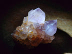 Natural Cactus Flower Spirit Amethyst Clusters x 12 From South Africa - Toprock Gemstones and Minerals 