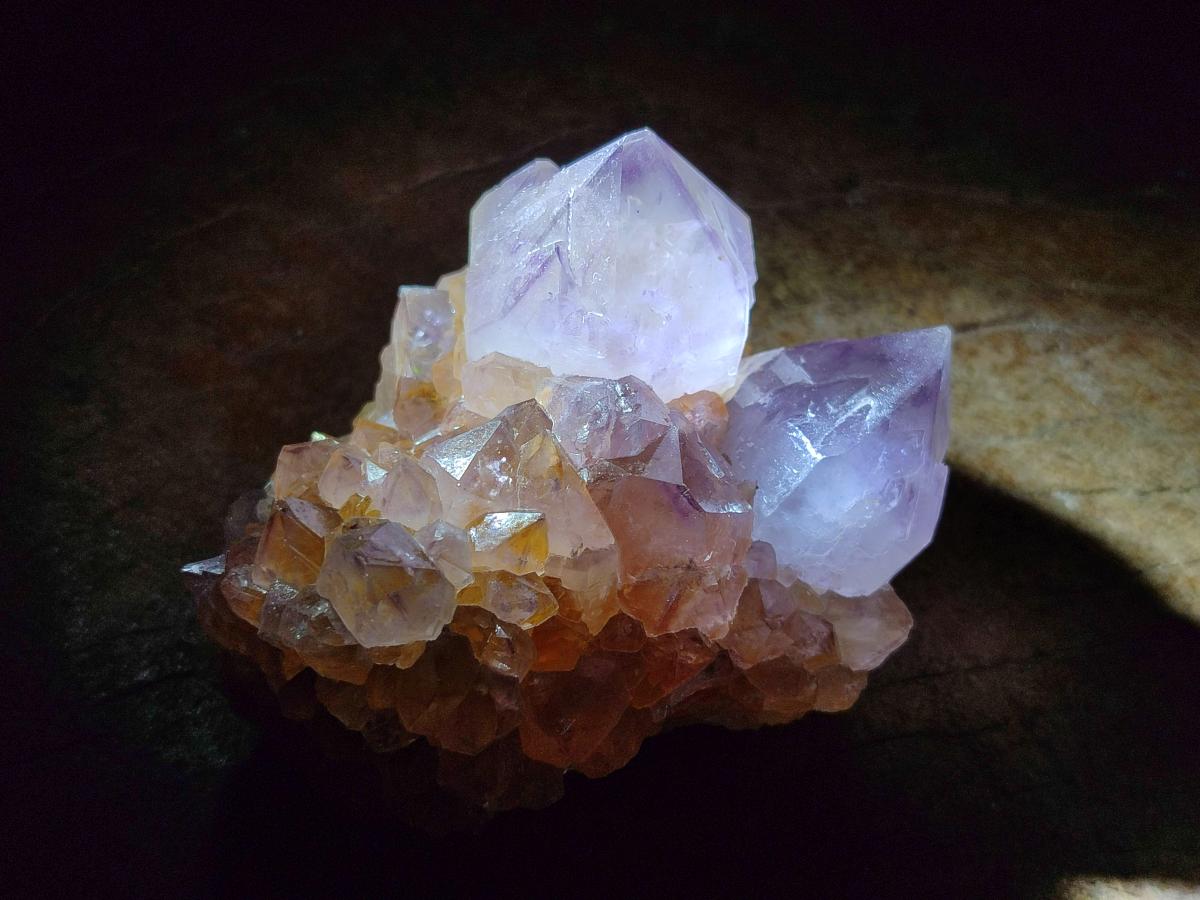 Natural Cactus Flower Spirit Amethyst Clusters x 12 From South Africa - Toprock Gemstones and Minerals 