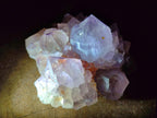Natural Cactus Flower Spirit Amethyst Clusters x 12 From South Africa - Toprock Gemstones and Minerals 