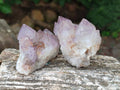 Natural Cactus Flower Spirit Amethyst Clusters x 12 From South Africa - Toprock Gemstones and Minerals 
