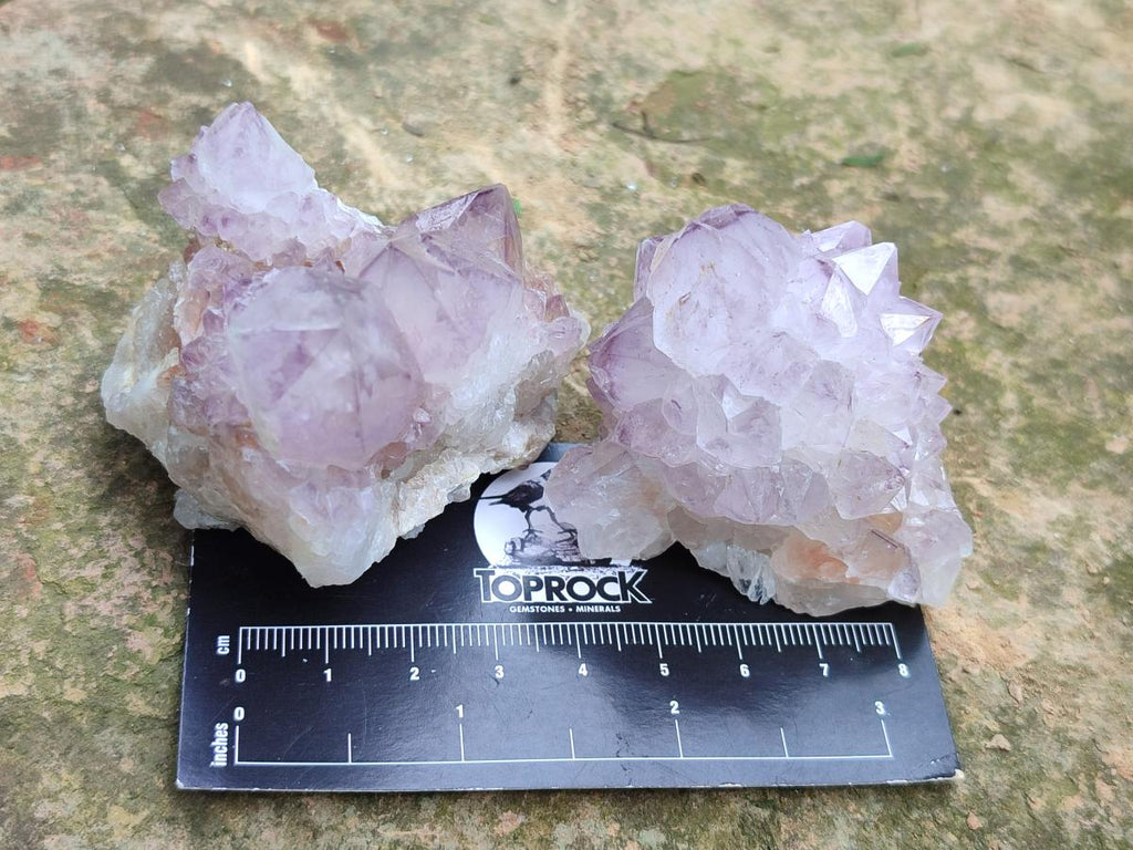 Natural Cactus Flower Spirit Amethyst Clusters x 12 From South Africa - Toprock Gemstones and Minerals 