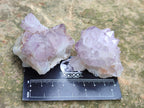 Natural Cactus Flower Spirit Amethyst Clusters x 12 From South Africa - Toprock Gemstones and Minerals 