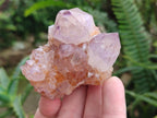 Natural Cactus Flower Spirit Amethyst Clusters x 12 From South Africa - Toprock Gemstones and Minerals 