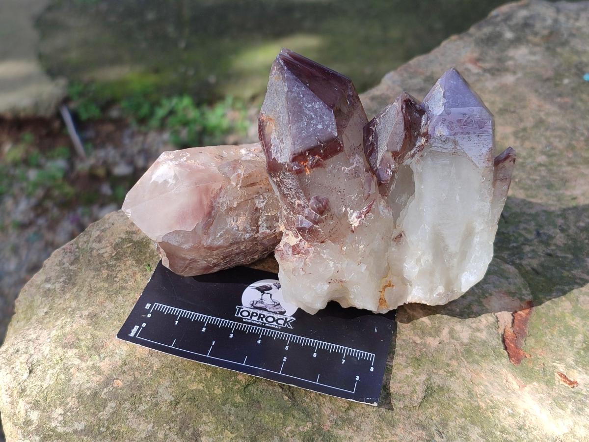 Natural Red Hematoid Quartz Crystals and Clusters x 6 From Karoi, Zimbabwe - Toprock Gemstones and Minerals 
