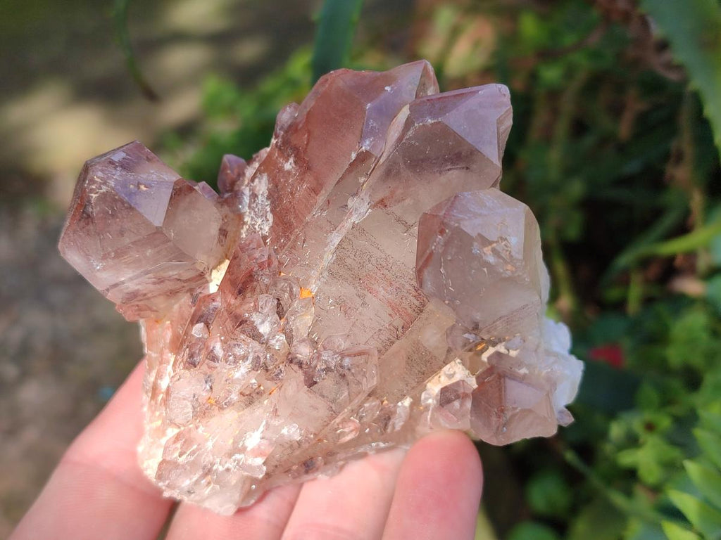 Natural Red Hematoid Quartz Crystals and Clusters x 6 From Karoi, Zimbabwe - Toprock Gemstones and Minerals 