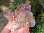 Natural Red Hematoid Quartz Crystals and Clusters x 6 From Karoi, Zimbabwe - Toprock Gemstones and Minerals 