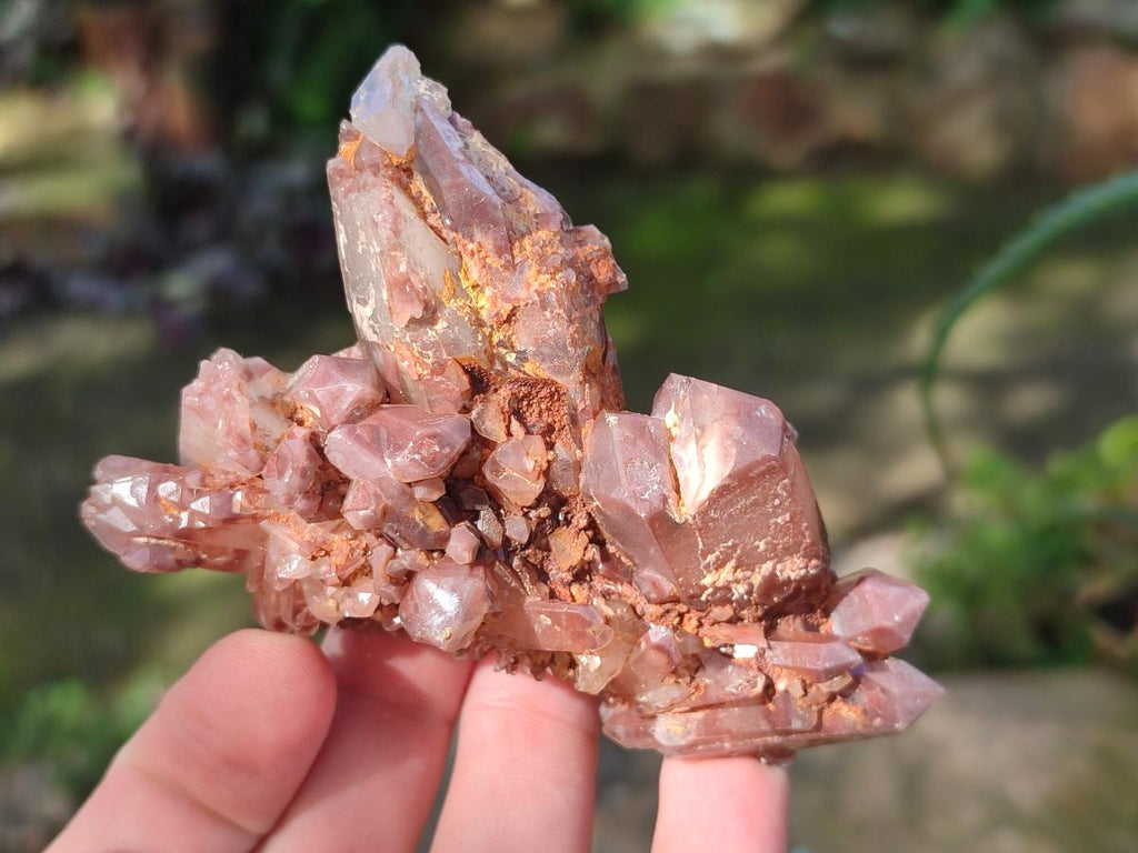Natural Red Hematoid Quartz Crystals and Clusters x 6 From Karoi, Zimbabwe - Toprock Gemstones and Minerals 