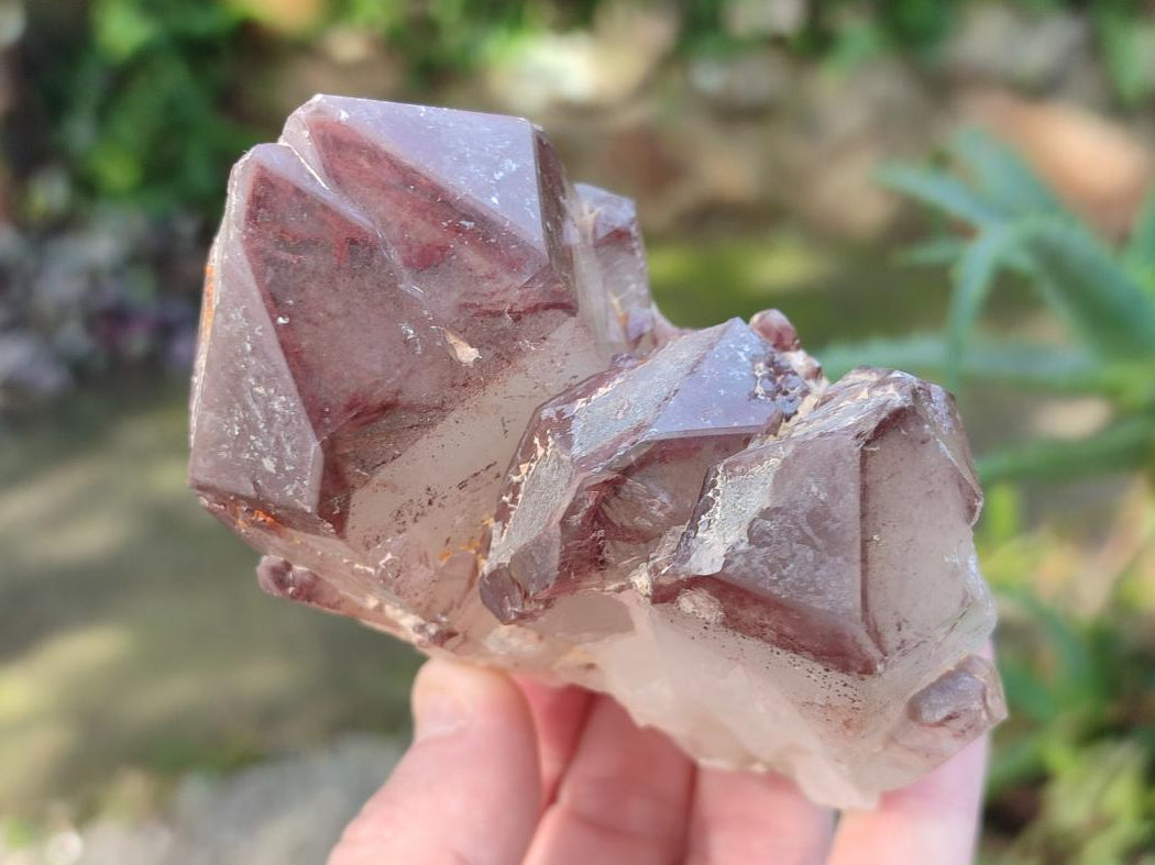 Natural Red Hematoid Quartz Crystals and Clusters x 6 From Karoi, Zimbabwe - Toprock Gemstones and Minerals 