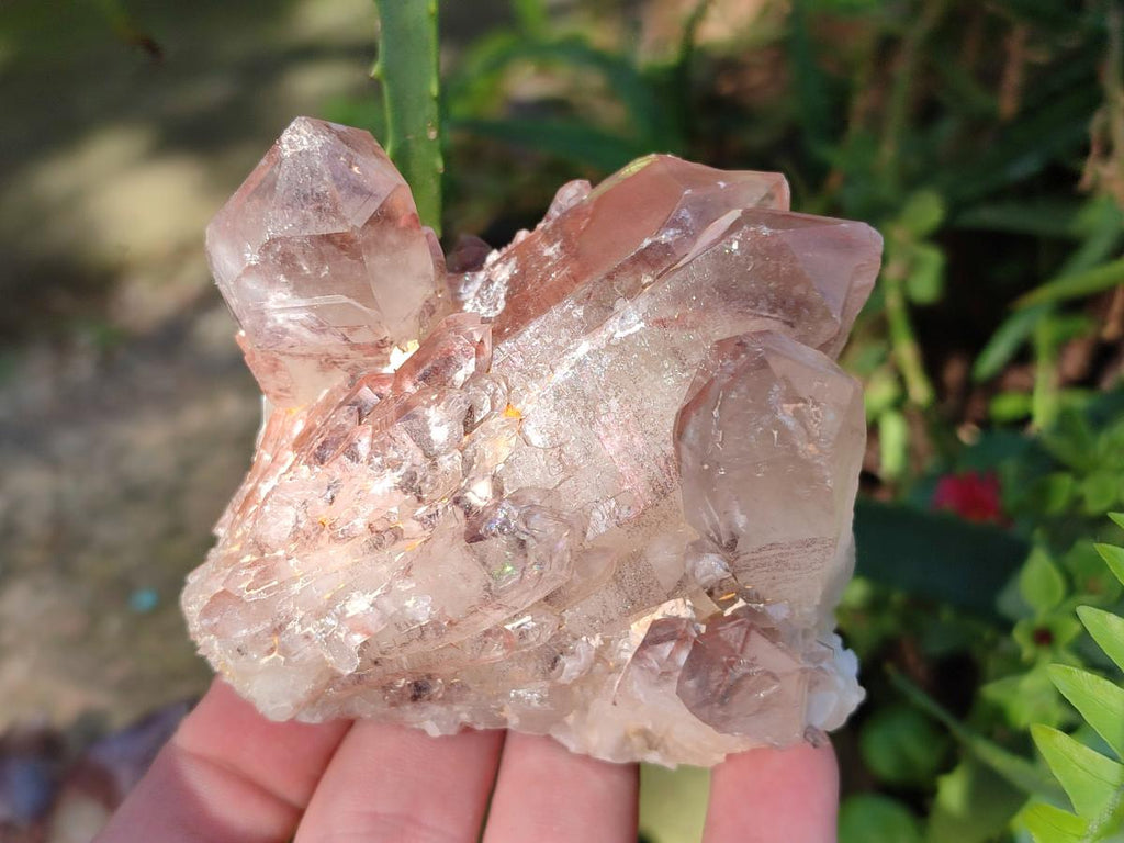 Natural Red Hematoid Quartz Crystals and Clusters x 6 From Karoi, Zimbabwe - Toprock Gemstones and Minerals 