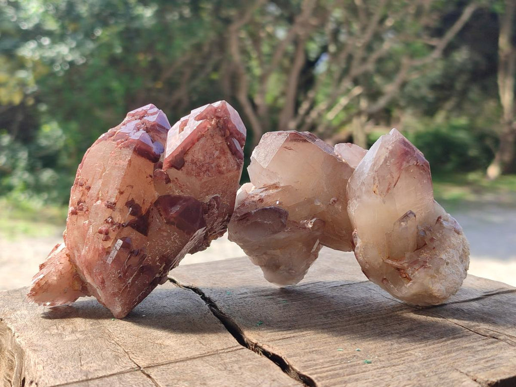 Natural Red Hematoid Quartz Crystals and Clusters x 6 From Karoi, Zimbabwe - Toprock Gemstones and Minerals 