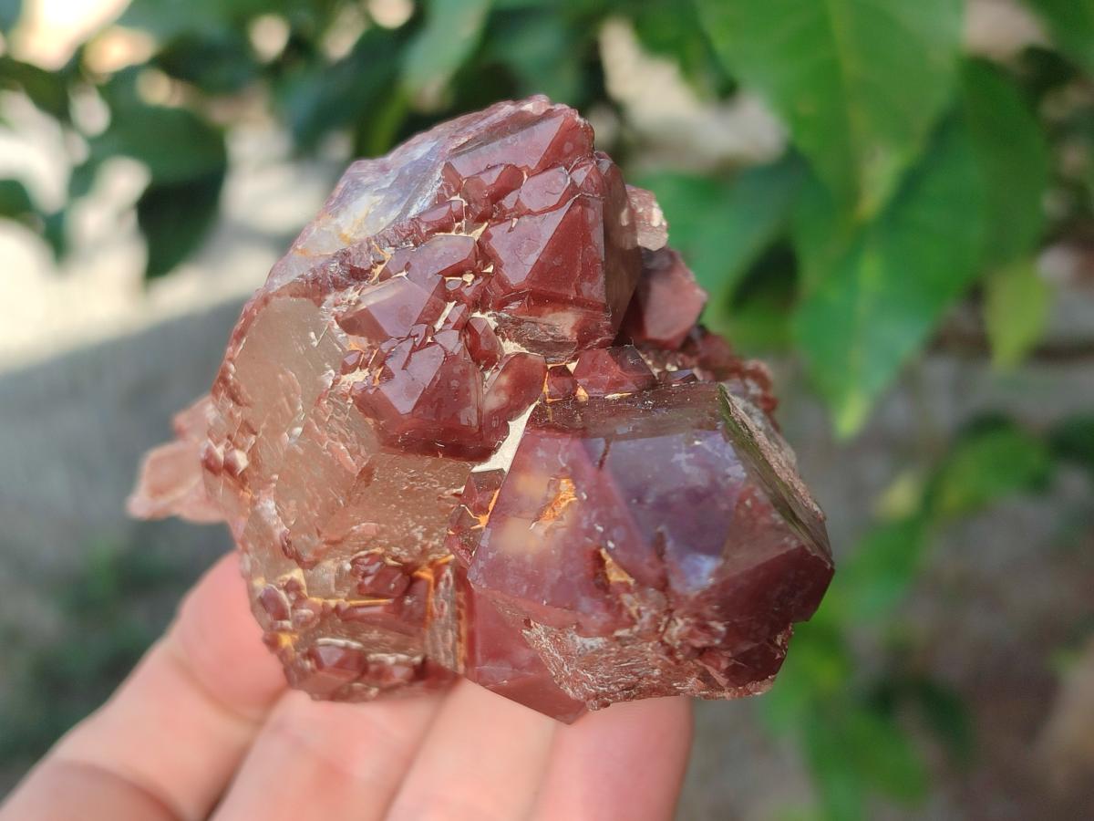 Natural Red Hematoid Quartz Crystals and Clusters x 6 From Karoi, Zimbabwe - Toprock Gemstones and Minerals 