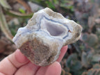 Natural Blue Lace Agate Geode Specimens x 24 From Nsanje, Malawi - Toprock Gemstones and Minerals 