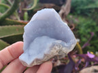 Natural Blue Lace Agate Geode Specimens x 24 From Nsanje, Malawi - Toprock Gemstones and Minerals 