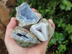 Natural Blue Lace Agate Geode Specimens x 24 From Nsanje, Malawi - Toprock Gemstones and Minerals 