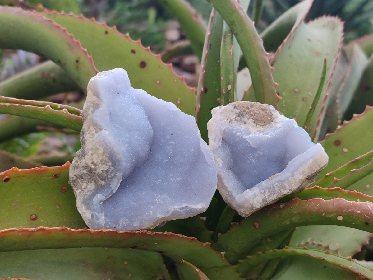 Natural Blue Lace Agate Geode Specimens x 24 From Nsanje, Malawi - Toprock Gemstones and Minerals 