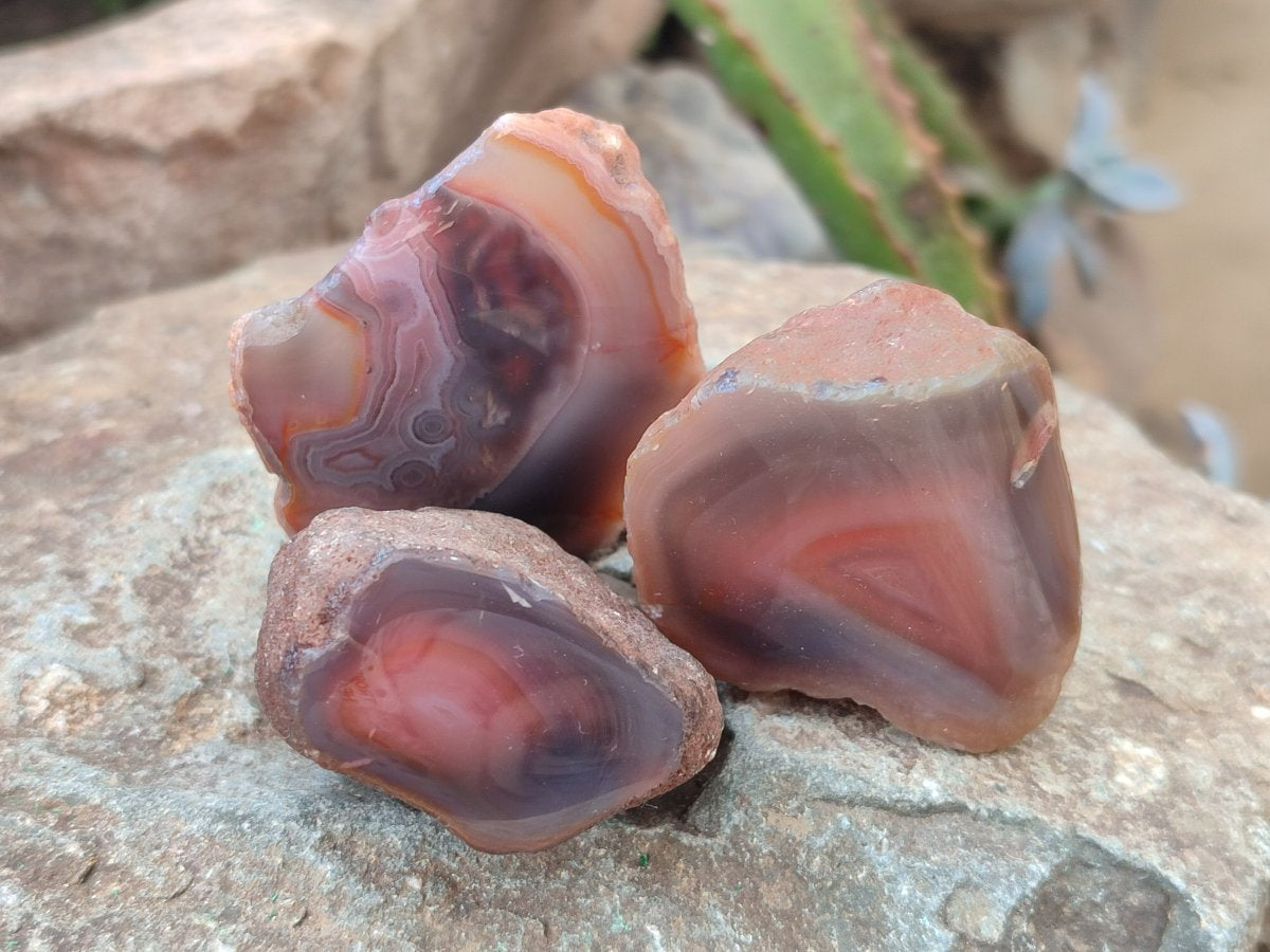 Polished One Side Red Shashe River Agate Nodules x 35 From Shashe River, Zimbabwe - Toprock Gemstones and Minerals 