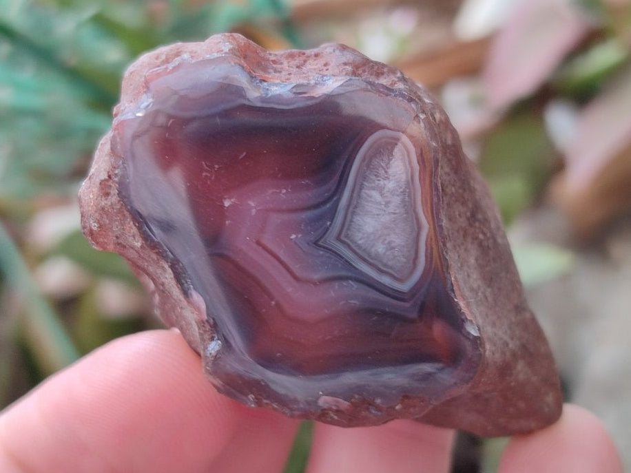 Polished One Side Red Shashe River Agate Nodules x 35 From Shashe River, Zimbabwe - Toprock Gemstones and Minerals 