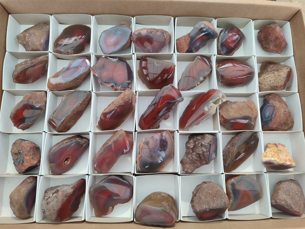 Polished One Side Red Shashe River Agate Nodules x 35 From Shashe River, Zimbabwe - Toprock Gemstones and Minerals 