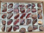 Polished One Side Red Shashe River Agate Nodules x 35 From Shashe River, Zimbabwe - Toprock Gemstones and Minerals 