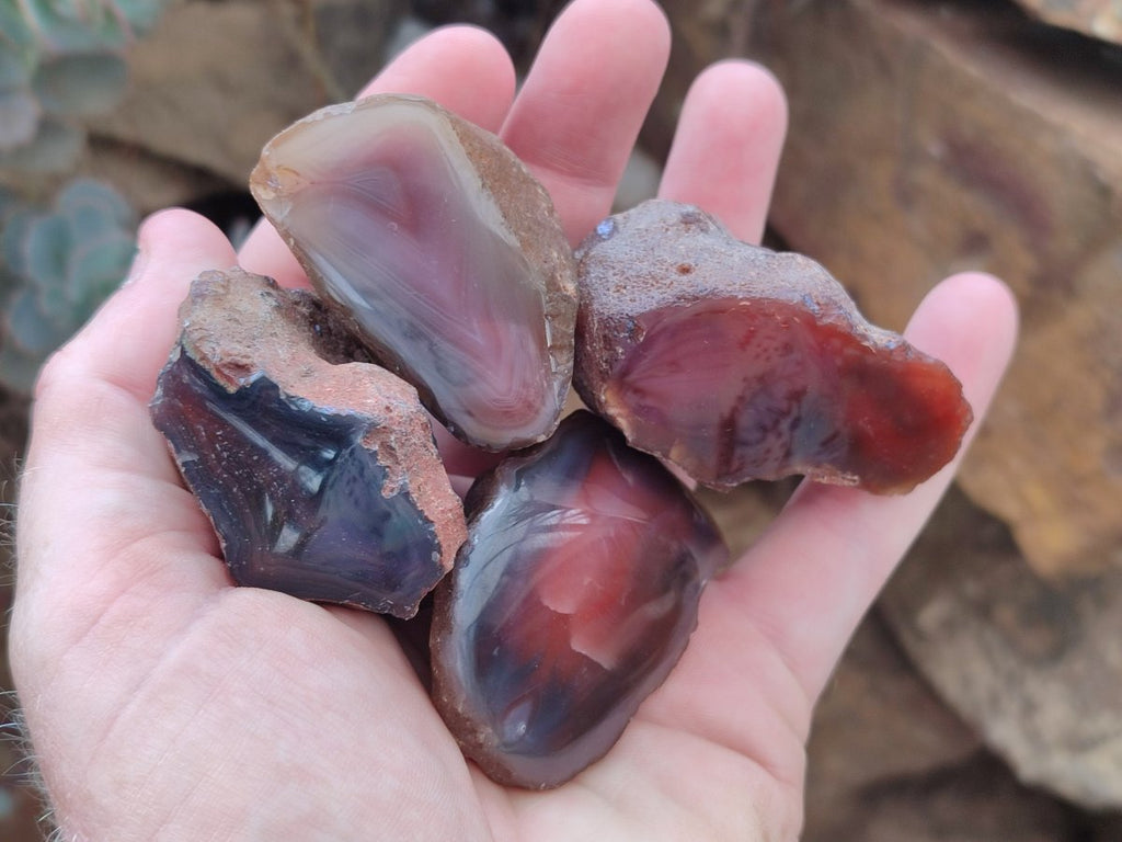 Polished One Side Red Shashe River Agate Nodules x 35 From Shashe River, Zimbabwe - Toprock Gemstones and Minerals 