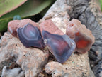 Polished One Side Red Shashe River Agate Nodules x 35 From Shashe River, Zimbabwe - Toprock Gemstones and Minerals 