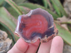 Polished One Side Red Shashe River Agate Nodules x 35 From Shashe River, Zimbabwe - Toprock Gemstones and Minerals 