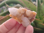 Natural Golden Limonite Spirit Quartz Crystals and Clusters x 35 From Boekenhouthoek, South Africa - Toprock Gemstones and Minerals 
