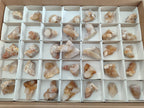 Natural Golden Limonite Spirit Quartz Crystals and Clusters x 35 From Boekenhouthoek, South Africa - Toprock Gemstones and Minerals 
