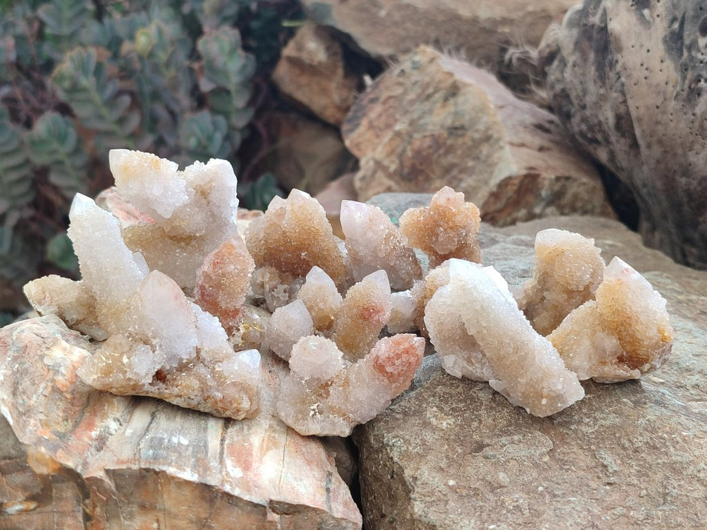 Natural Golden Limonite Spirit Quartz Crystals and Clusters x 35 From Boekenhouthoek, South Africa - Toprock Gemstones and Minerals 