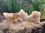 Natural Golden Limonite Spirit Quartz Crystals and Clusters x 35 From Boekenhouthoek, South Africa - Toprock Gemstones and Minerals 