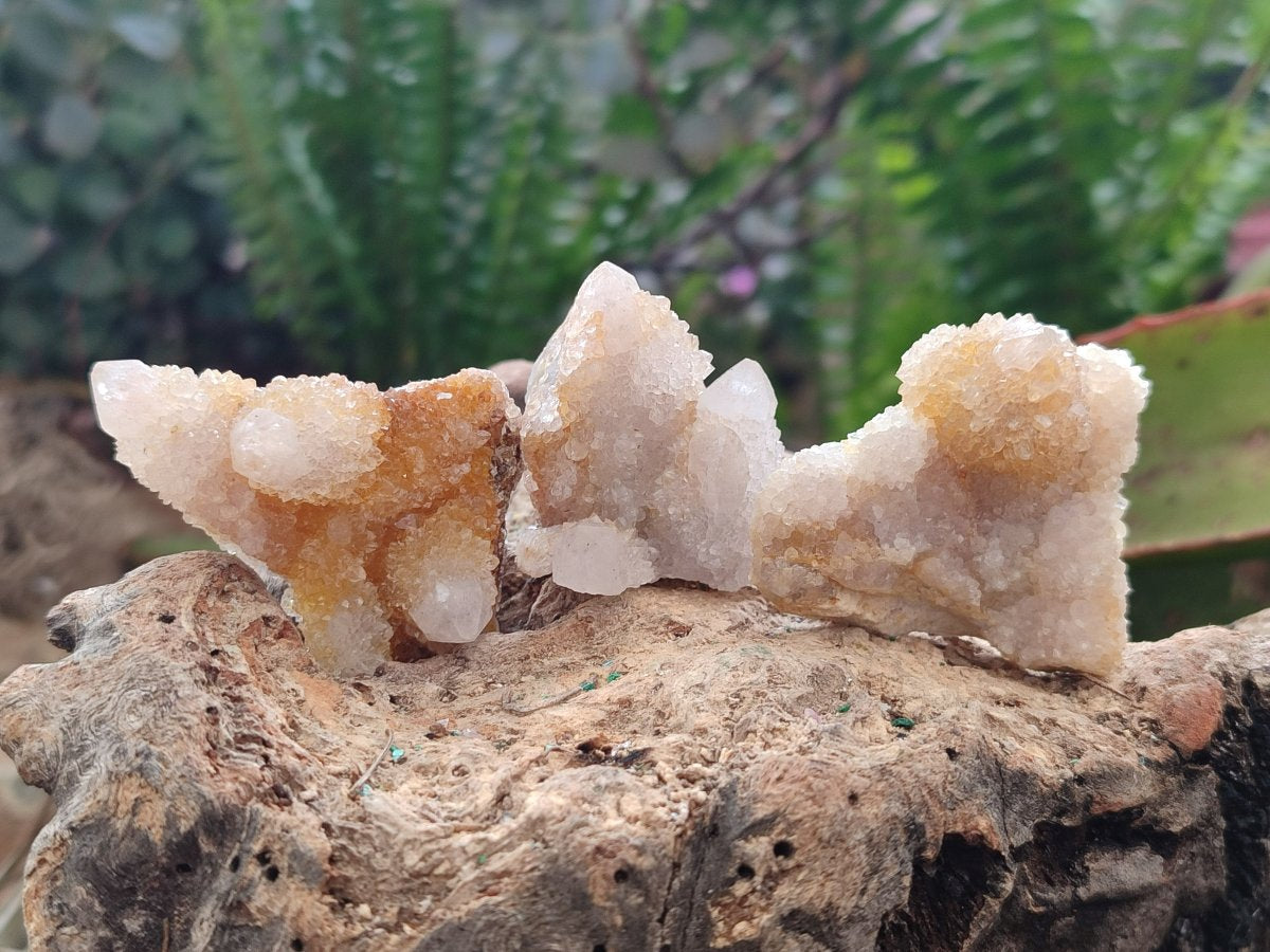 Natural Golden Limonite Spirit Quartz Crystals and Clusters x 35 From Boekenhouthoek, South Africa - Toprock Gemstones and Minerals 