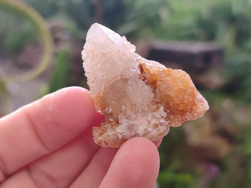 Natural Golden Limonite Spirit Quartz Crystals and Clusters x 35 From Boekenhouthoek, South Africa - Toprock Gemstones and Minerals 
