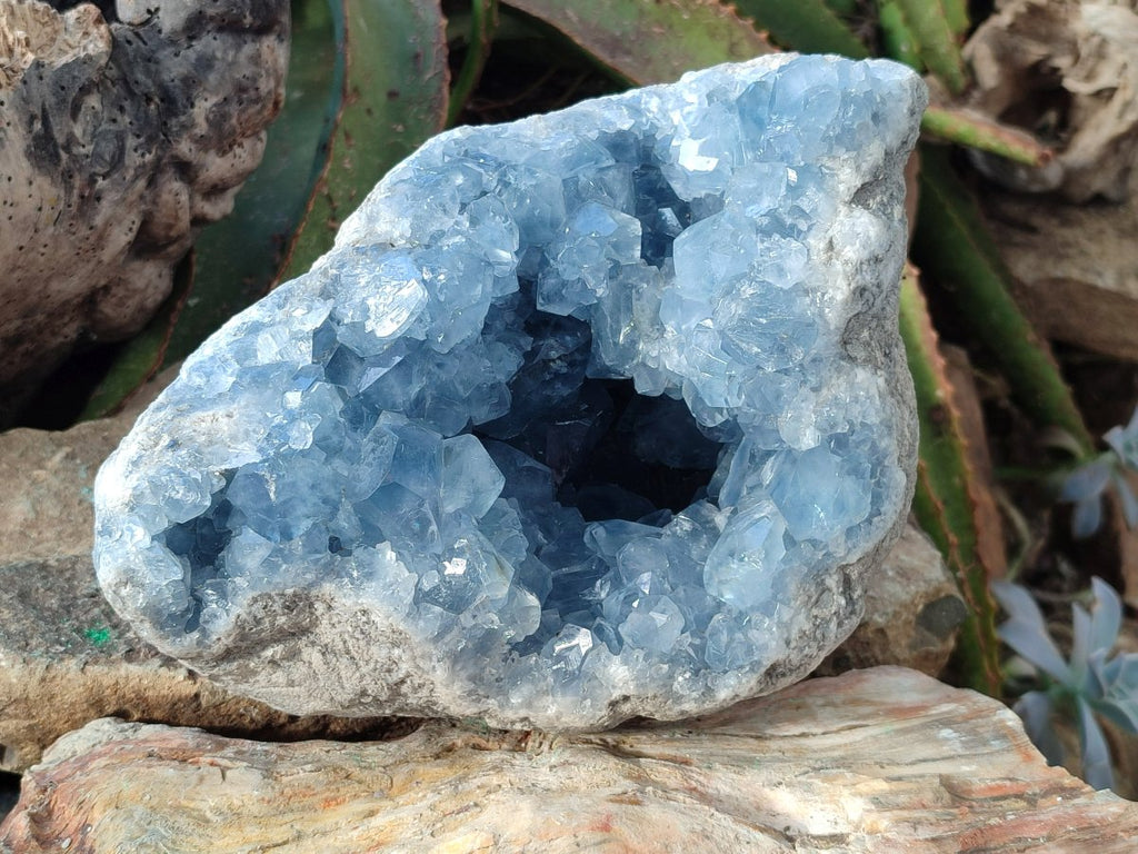 Natural Large Blue Celestite Geode Specimen x 1 From Sakoany, Madagascar - Toprock Gemstones and Minerals 