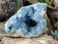 Natural Large Blue Celestite Geode Specimen x 1 From Sakoany, Madagascar - Toprock Gemstones and Minerals 