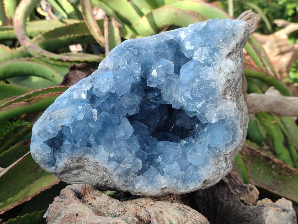Natural Large Blue Celestite Geode Specimen x 1 From Sakoany, Madagascar - Toprock Gemstones and Minerals 