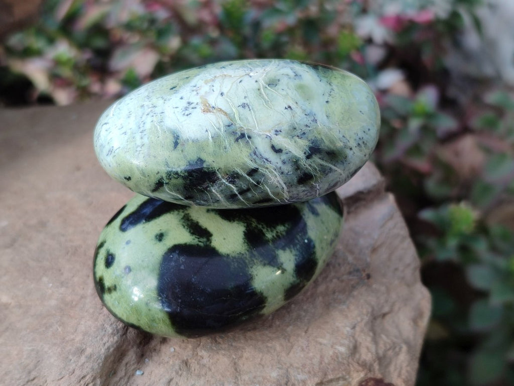 Polished Leopard Stone Free Forms x 12 From Zimbabwe - Toprock Gemstones and Minerals 
