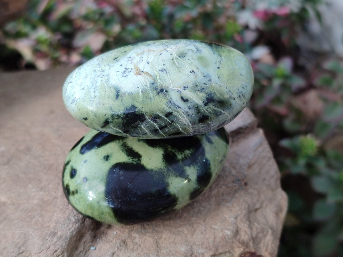 Polished Leopard Stone Free Forms x 12 From Zimbabwe - Toprock Gemstones and Minerals 